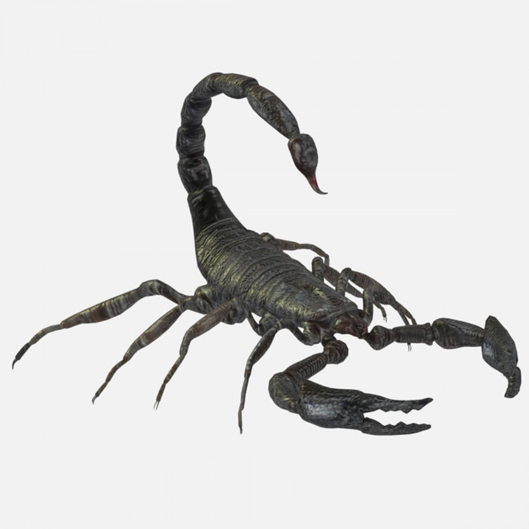 Scorpion 3d Render Plain White Wallpaper