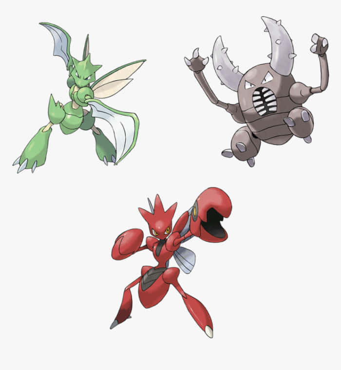 Scyther Scizor Pinsir Wallpaper