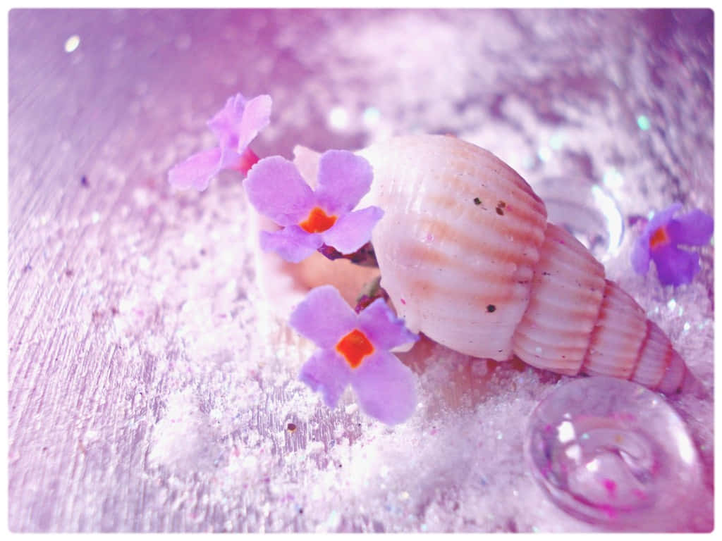 Seashell Light Purple Aesthetic Wallpaper