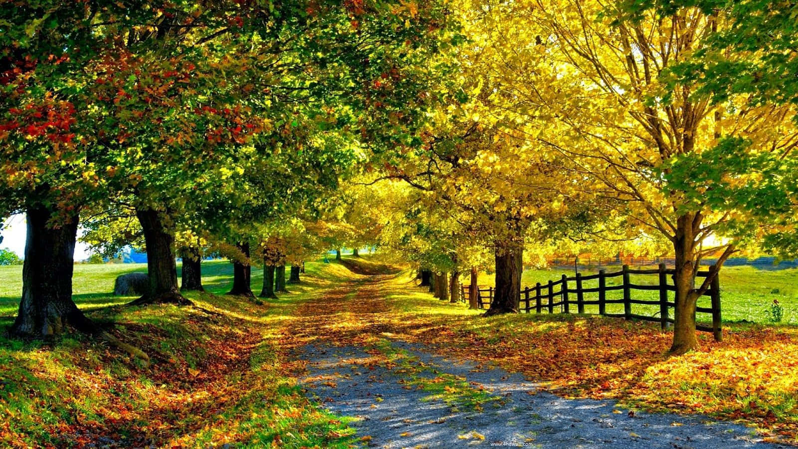 Seasonal Western Spring Park Wallpaper