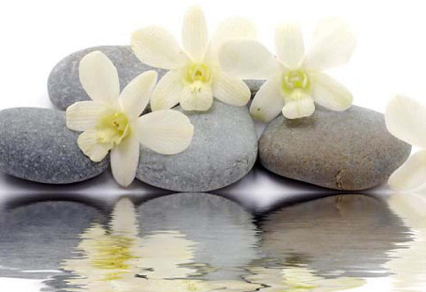 Serene Zen Desktop Background Wallpaper