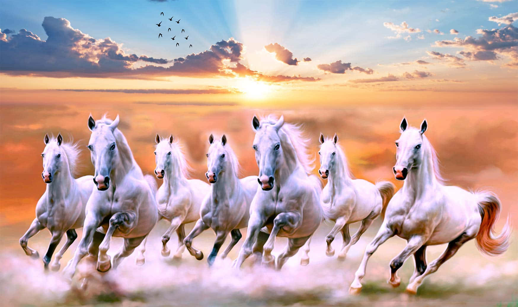 Seven White Horses Sunset Gallop Wallpaper