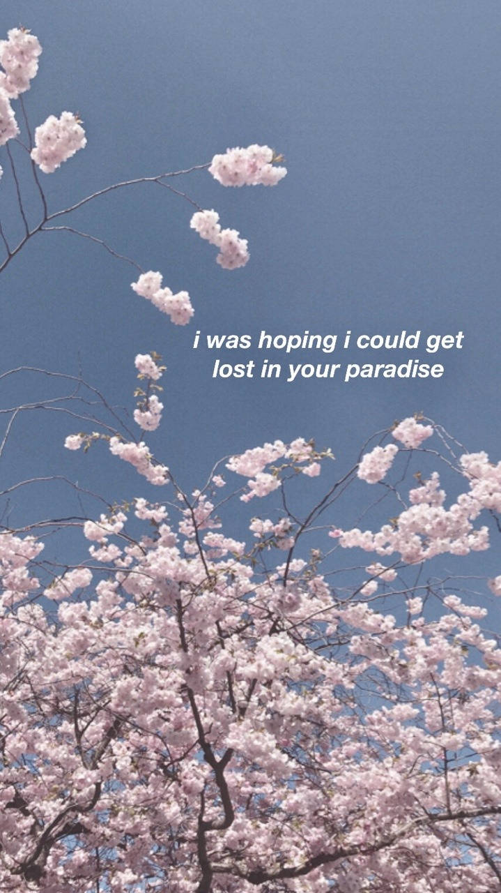 Shawn Mendes Lost In Japan Lyrics Wallpaper