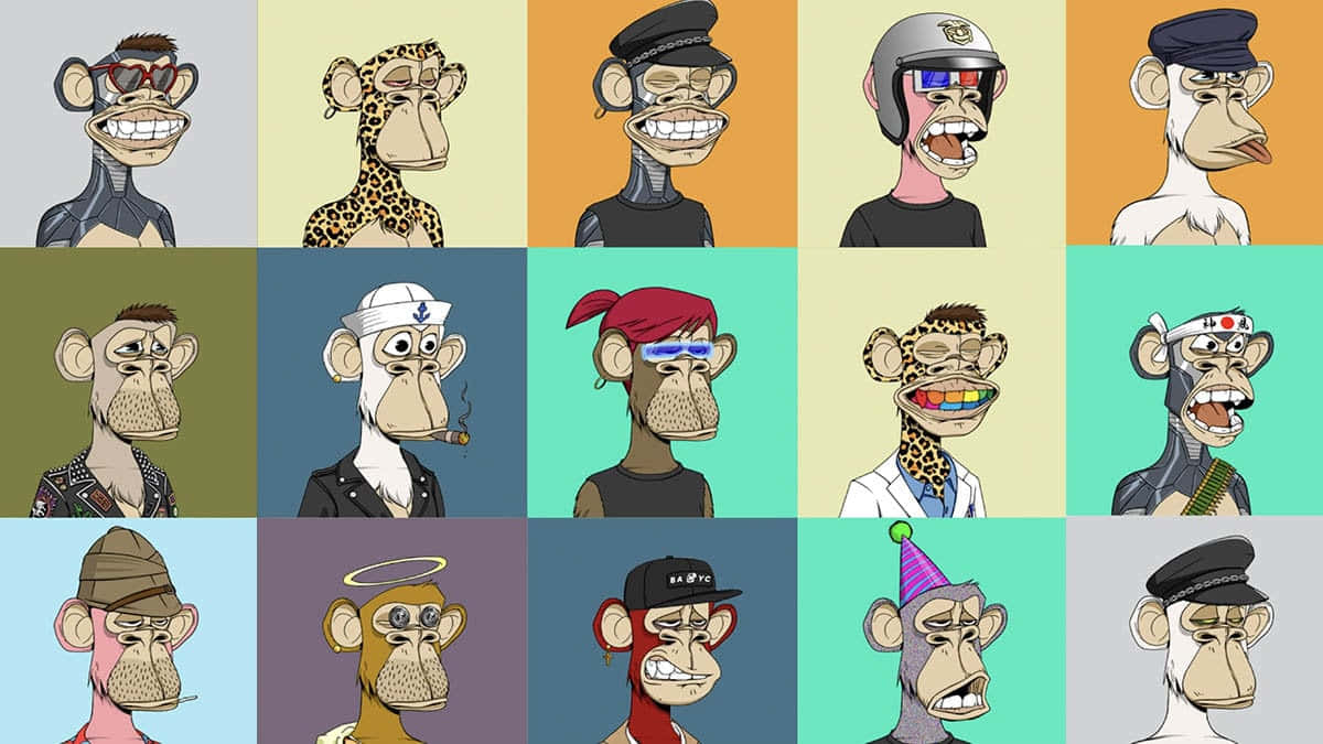 Shop 'till Ya Drop - Grab The Hottest Nfts At Nft Monkey! Wallpaper