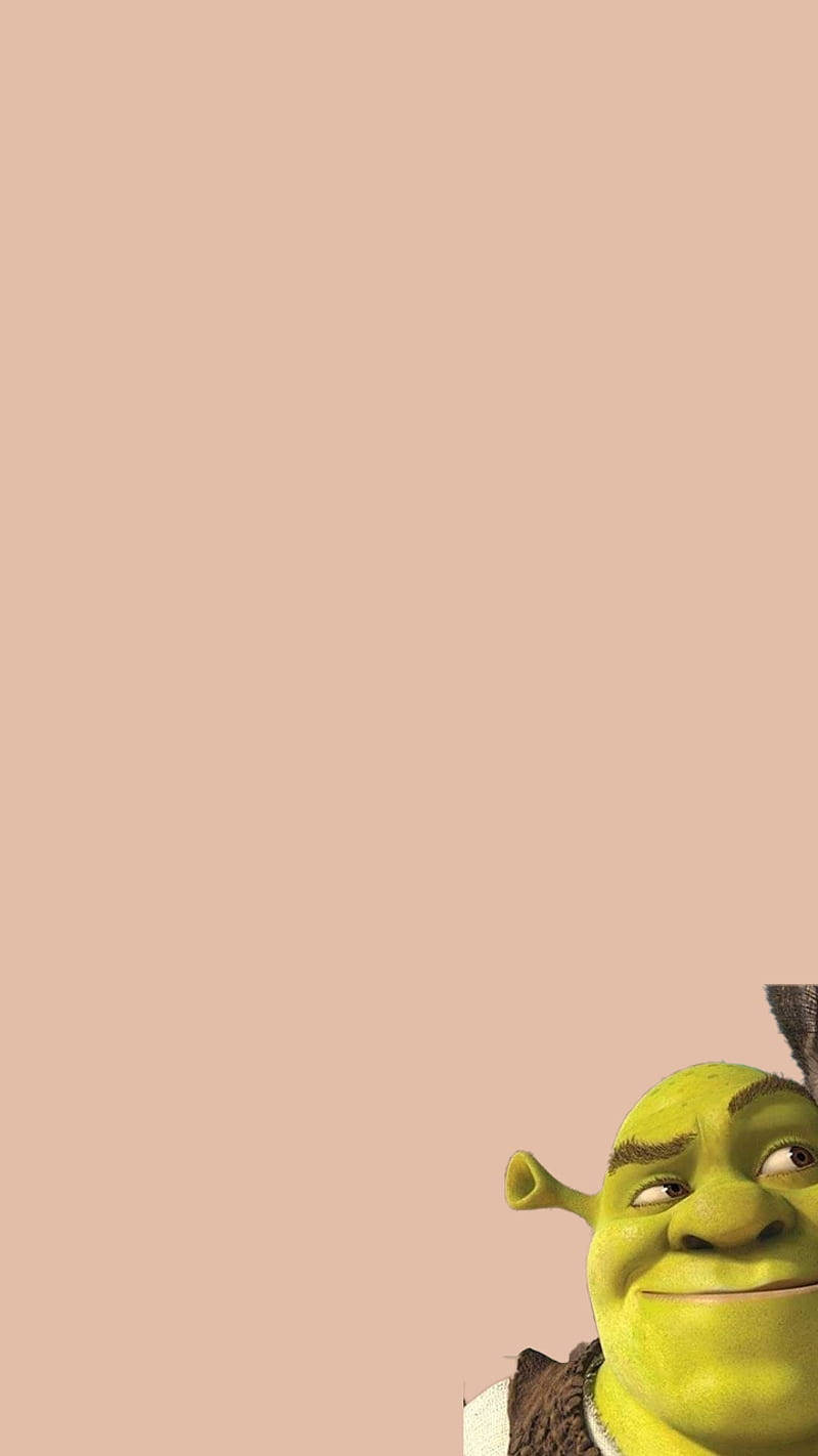 Shrek 2 Head On Pink Backdrop Wallpaper