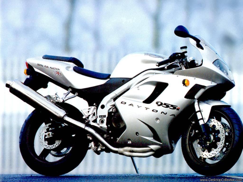 Silver Triumph Daytona 955i Bikes Wallpaper