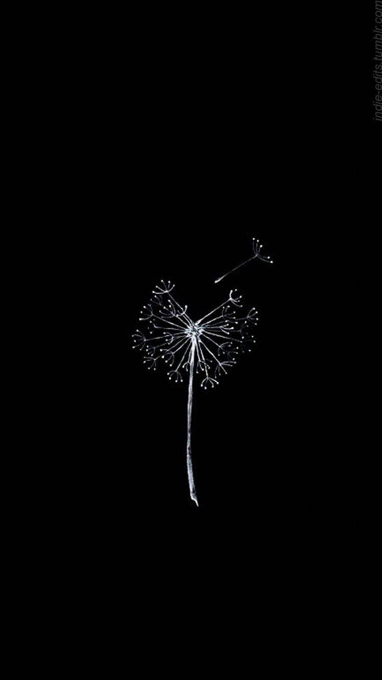 Simple Black Dandelion Blowing Away Wallpaper