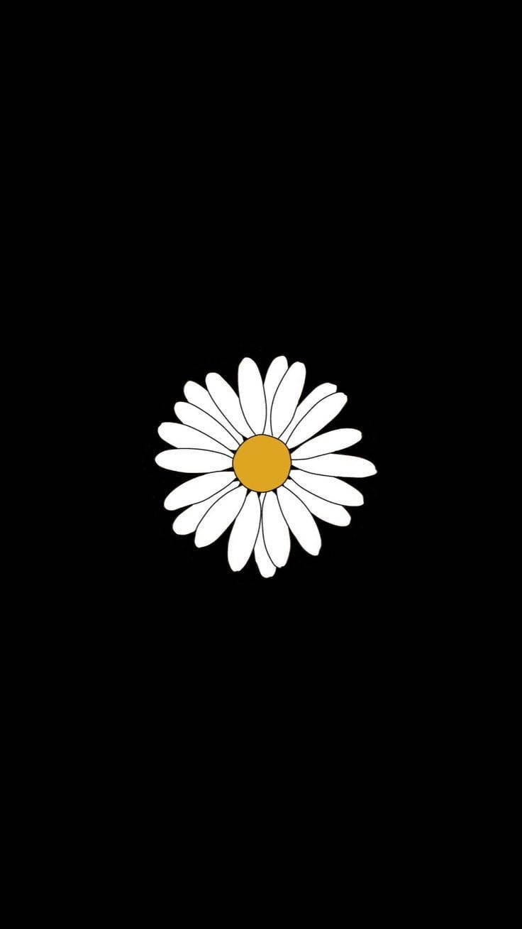 Simple White Daisy Aesthetic Black Wallpaper