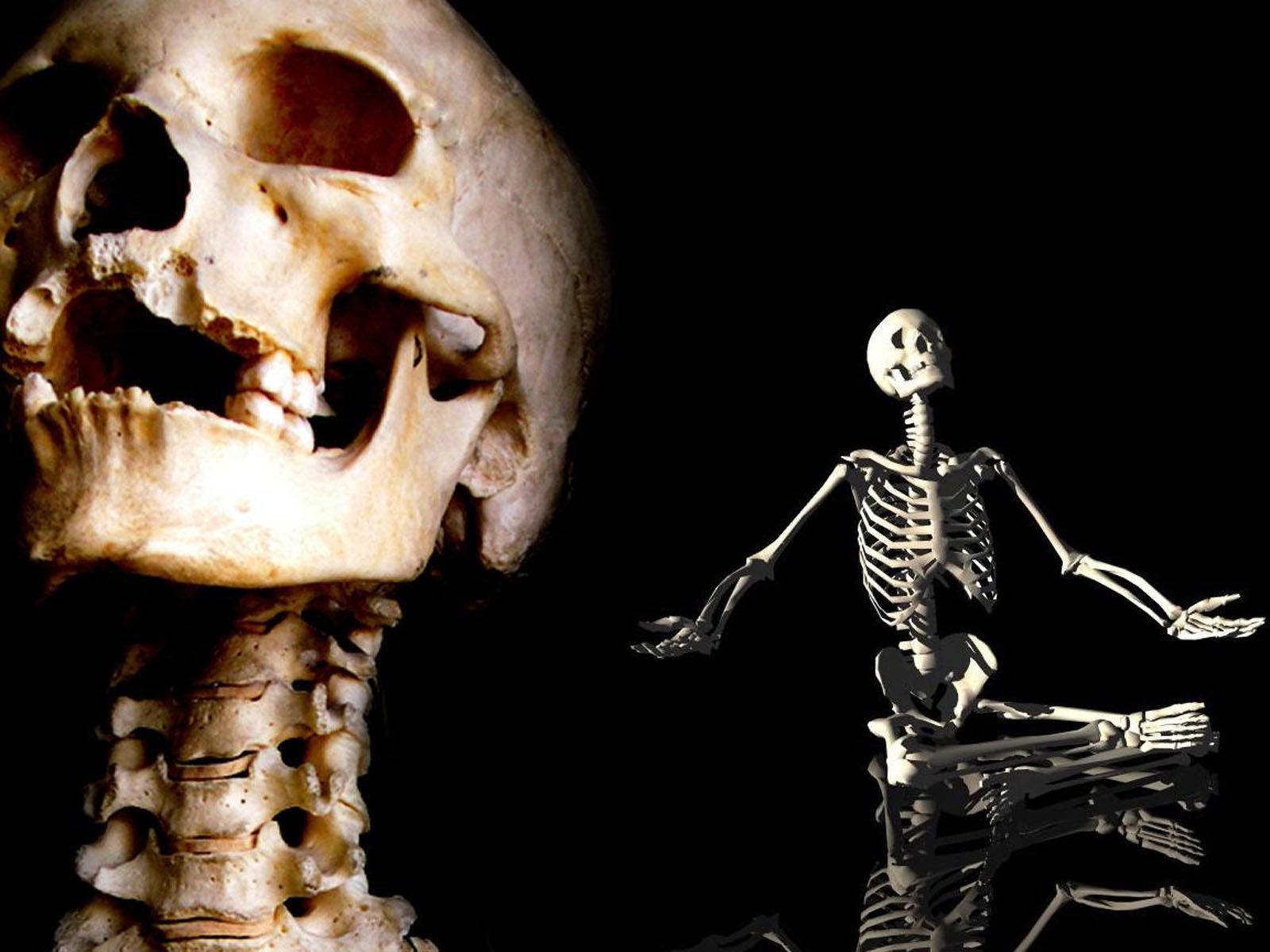 Sitting Meditating Skeleton Wallpaper