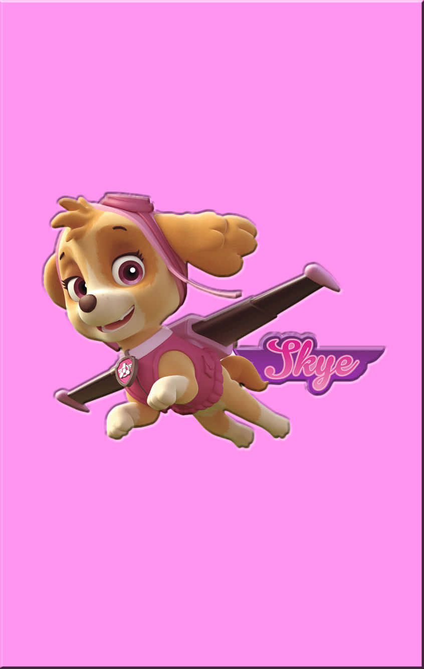 Skye Paw Patrol Zuma In Pink Canvas Wallpaper