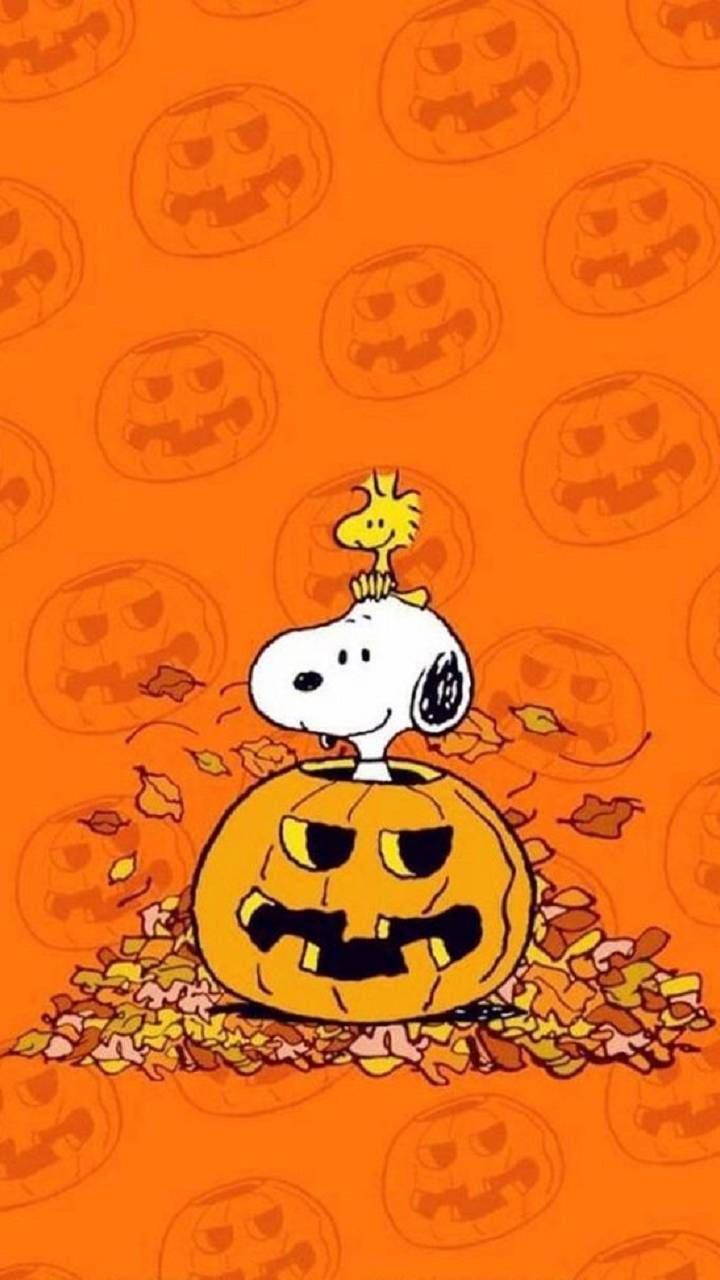 Snoopy Is Get Spooky Ready For Halloween! Wallpaper