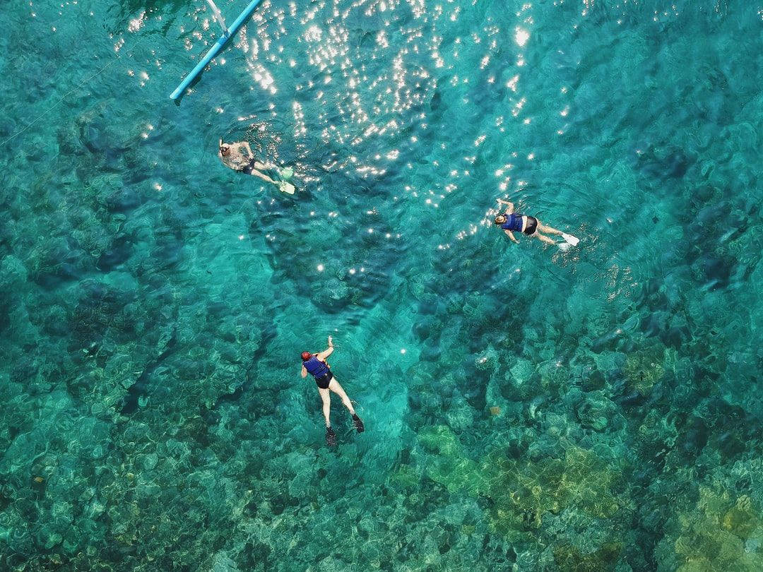 Snorkeling Aerial View Wallpaper