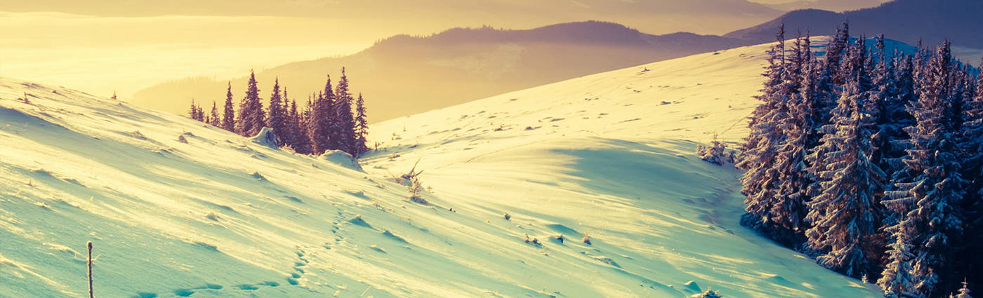 Snowscape Linkedin Banner Wallpaper