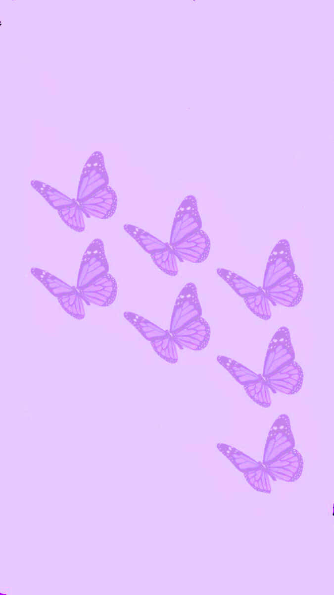 Solid Light Purple Butterflies Flying Wallpaper