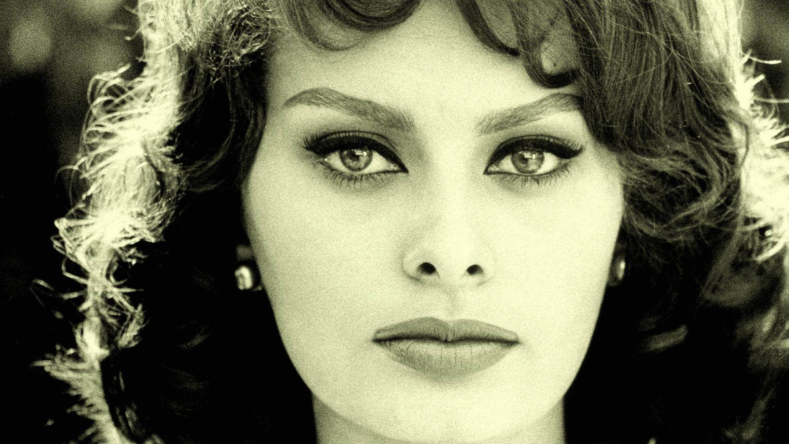 Sophia Loren Beautiful Headshot 1964 Wallpaper