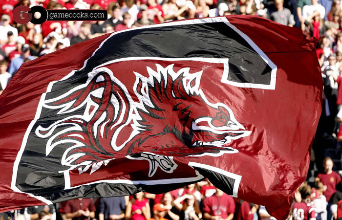 South Carolina Gamecocks Flag Waving Wallpaper