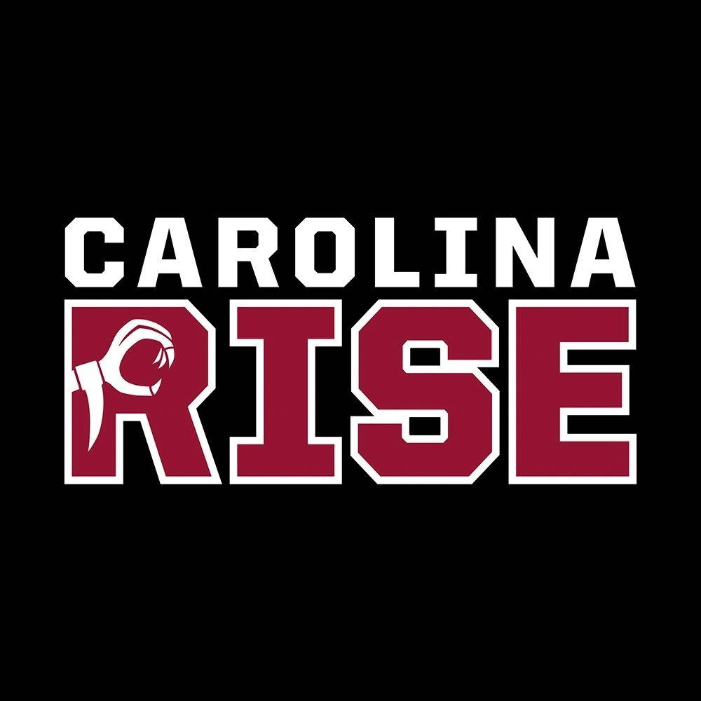 South Carolina Gamecocks Rise Motto Art Wallpaper