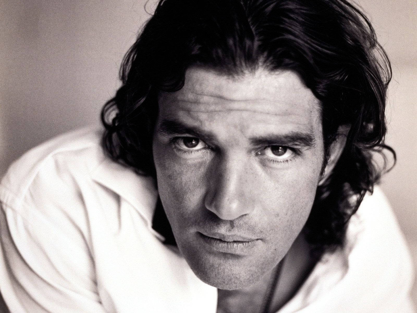 Spanish Star Antonio Banderas Wallpaper