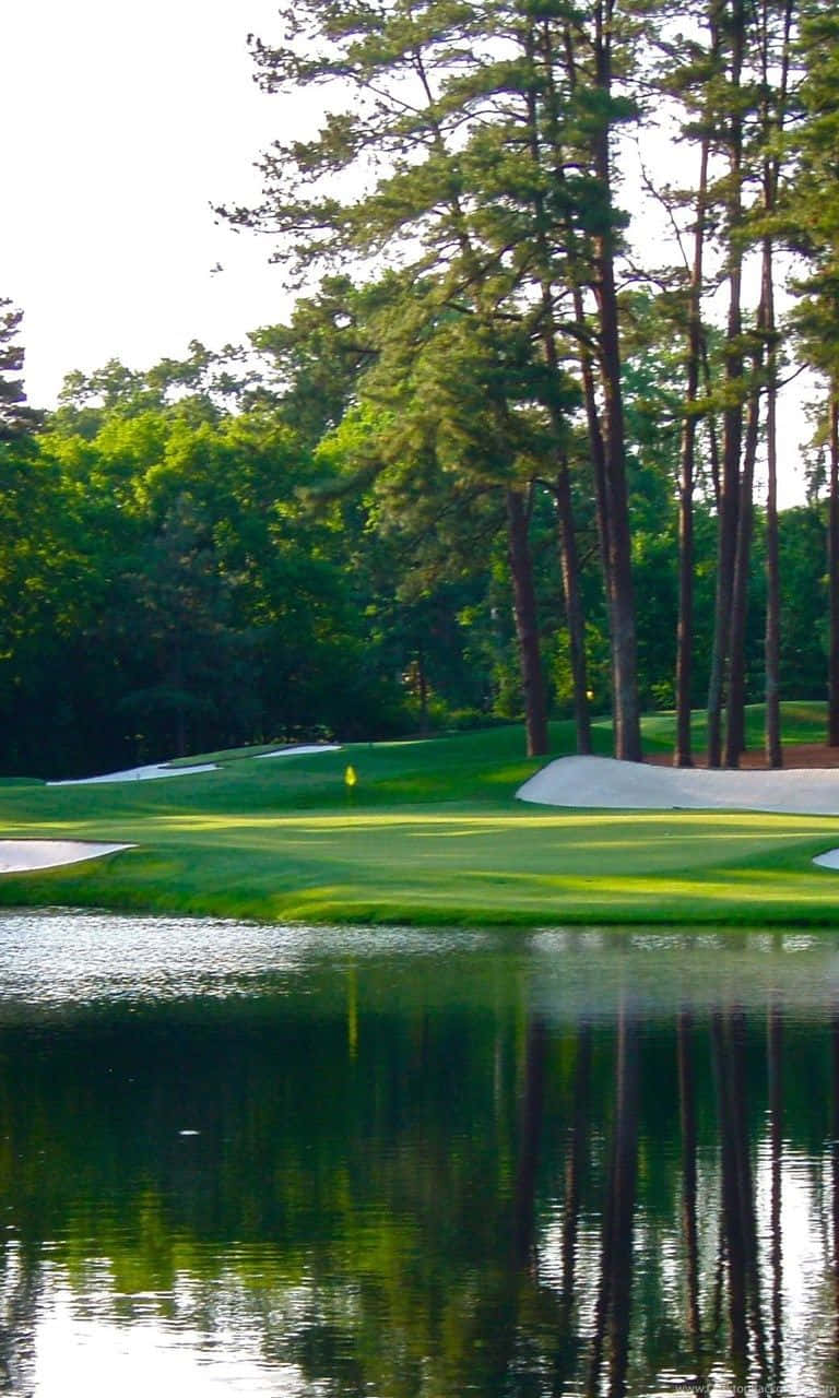 Spindly Trees At Augusta National Iphone Wallpaper