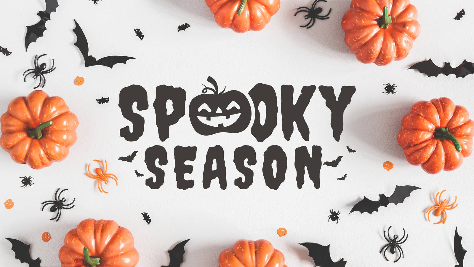 Spooky Season Spiders Bats Wallpaper