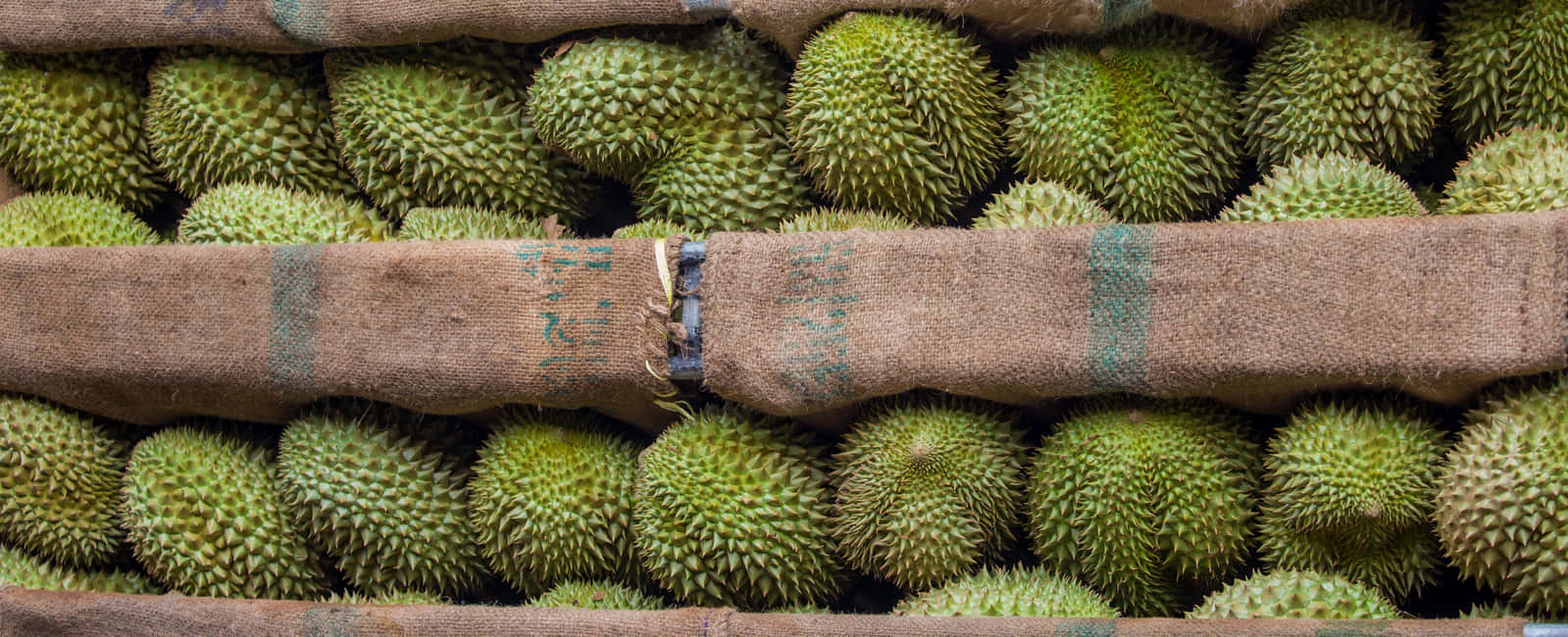 Stacked_ Durian_ Fruit_ Harvest.jpg Wallpaper