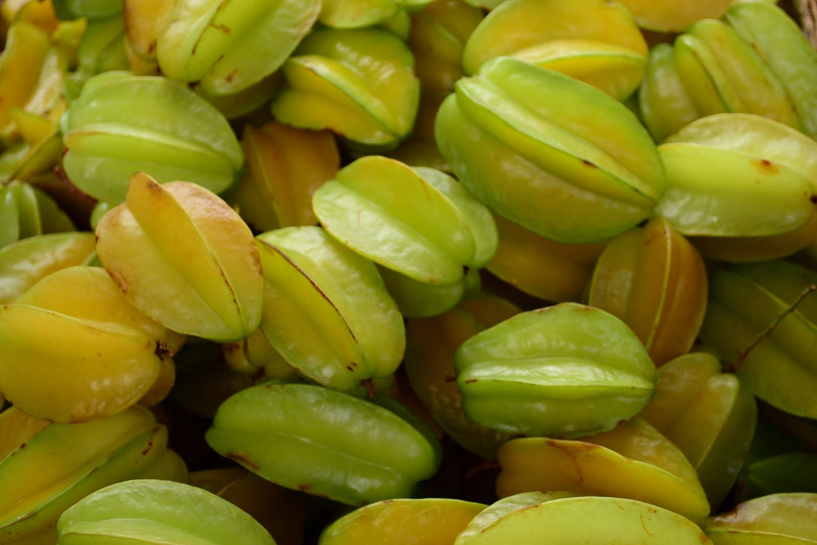 Star Fruits Yellow Green Wallpaper