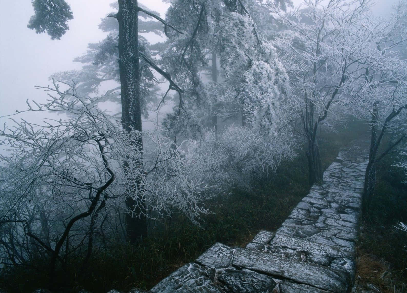 Stone Wall Winter Wonderland Desktop Wallpaper