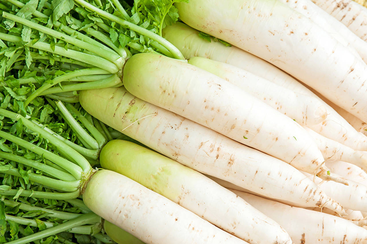 Striking Flat Lay Daikon Radish Wallpaper