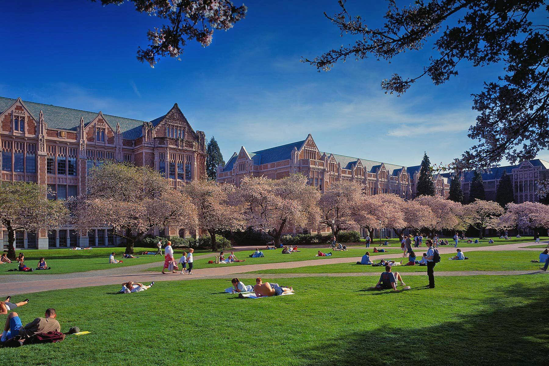 Students At The Quad University Of Washington Wallpaper