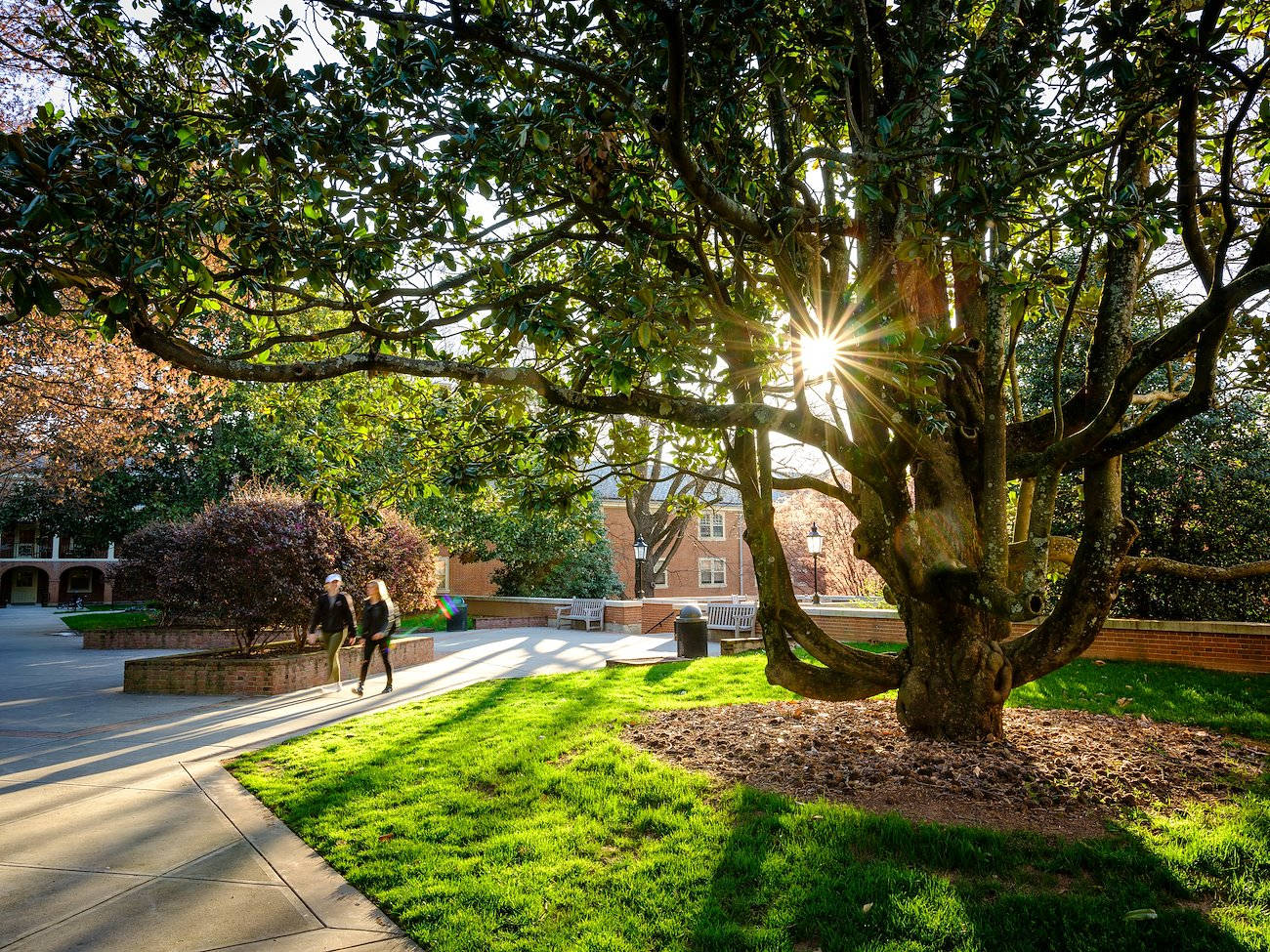 Students At Wake Forest University Campus Wallpaper