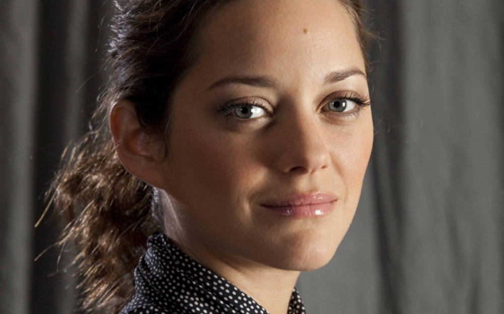 Stunning American Actress Marion Cotillard Wallpaper