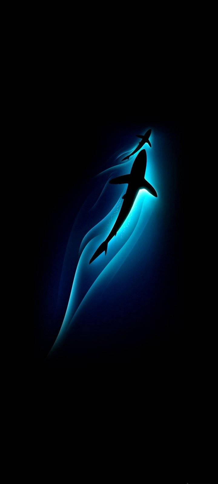 Stunning Shark Silhouettes On Vivo Y20 Display Wallpaper