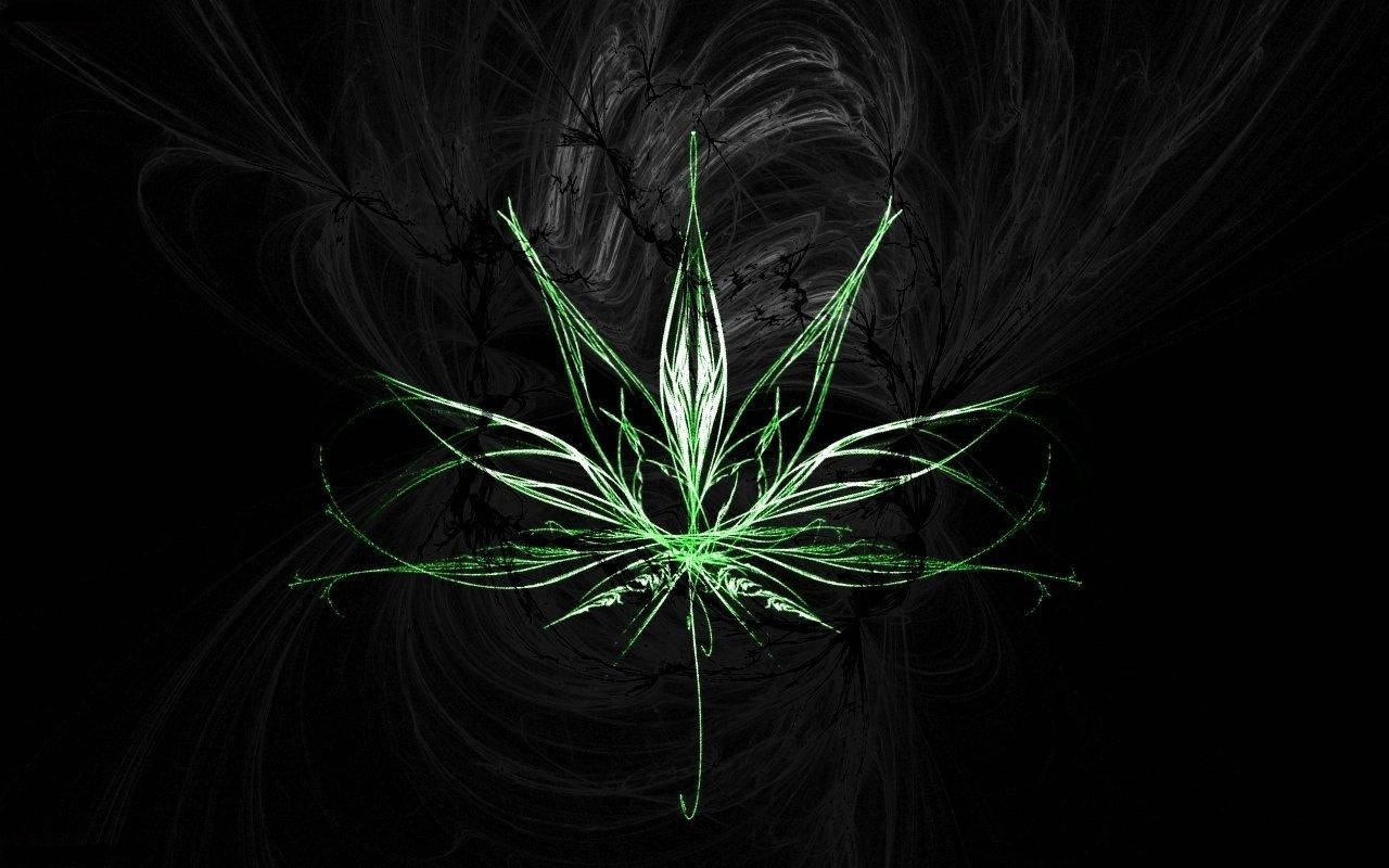 Stylized Weed Leaf Artwork Wallpaper