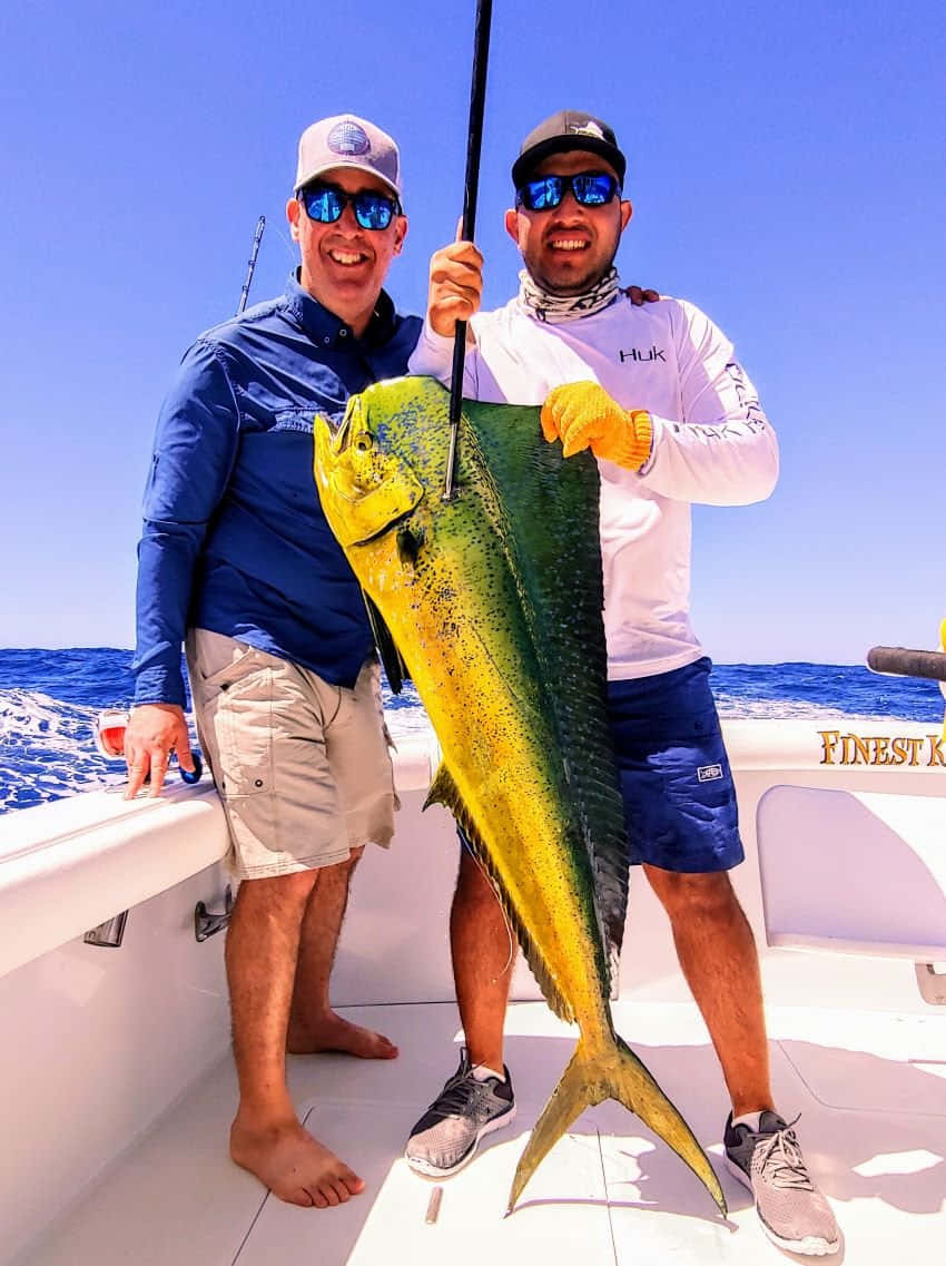 Successful Mahi Mahi Catch Wallpaper