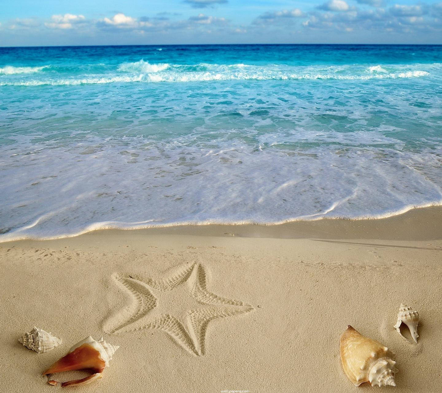 Summer Star On Sand Laptop Wallpaper