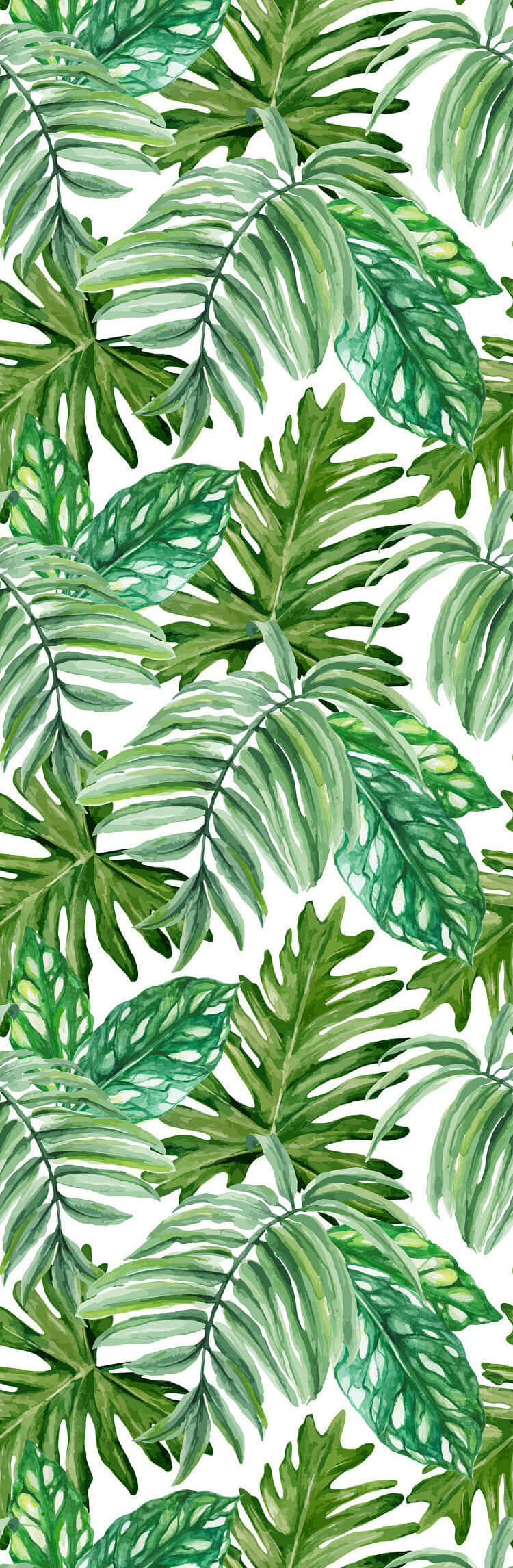 Summer Vibe Monstera Leaves Digital Art Wallpaper