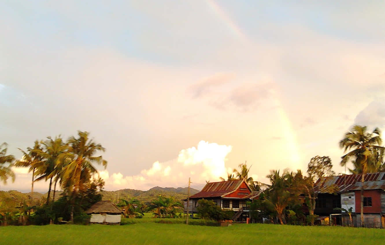 Sun Rising In Sulawesi Wallpaper
