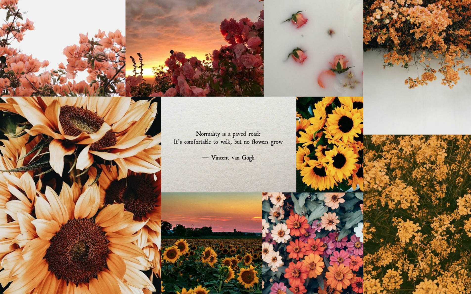 Sunflower Spring Aesthetic Wallpaper