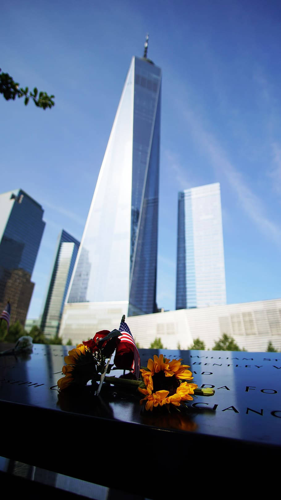 Sunflowers At 911 Memorial Wallpaper