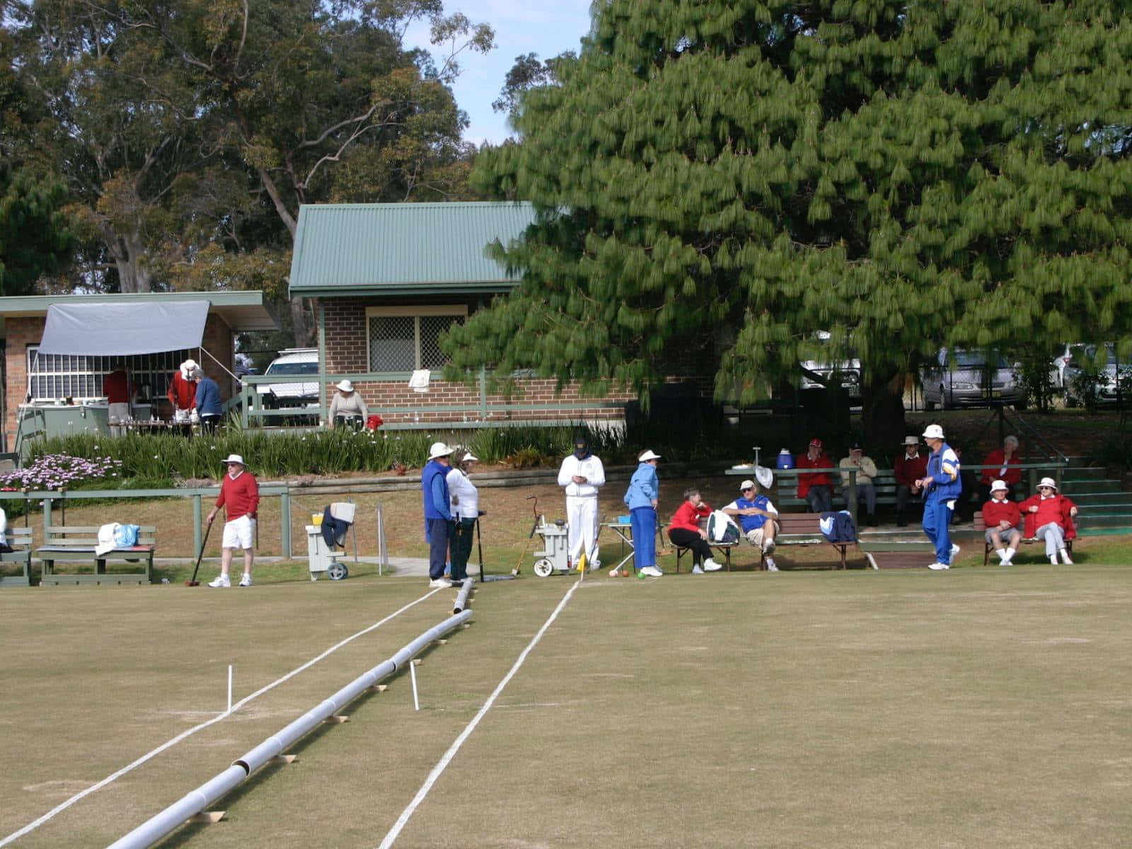 Sunny Day Croquet Match.jpg Wallpaper