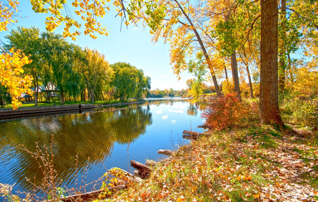 Sunny Morning At The Riverside Wallpaper