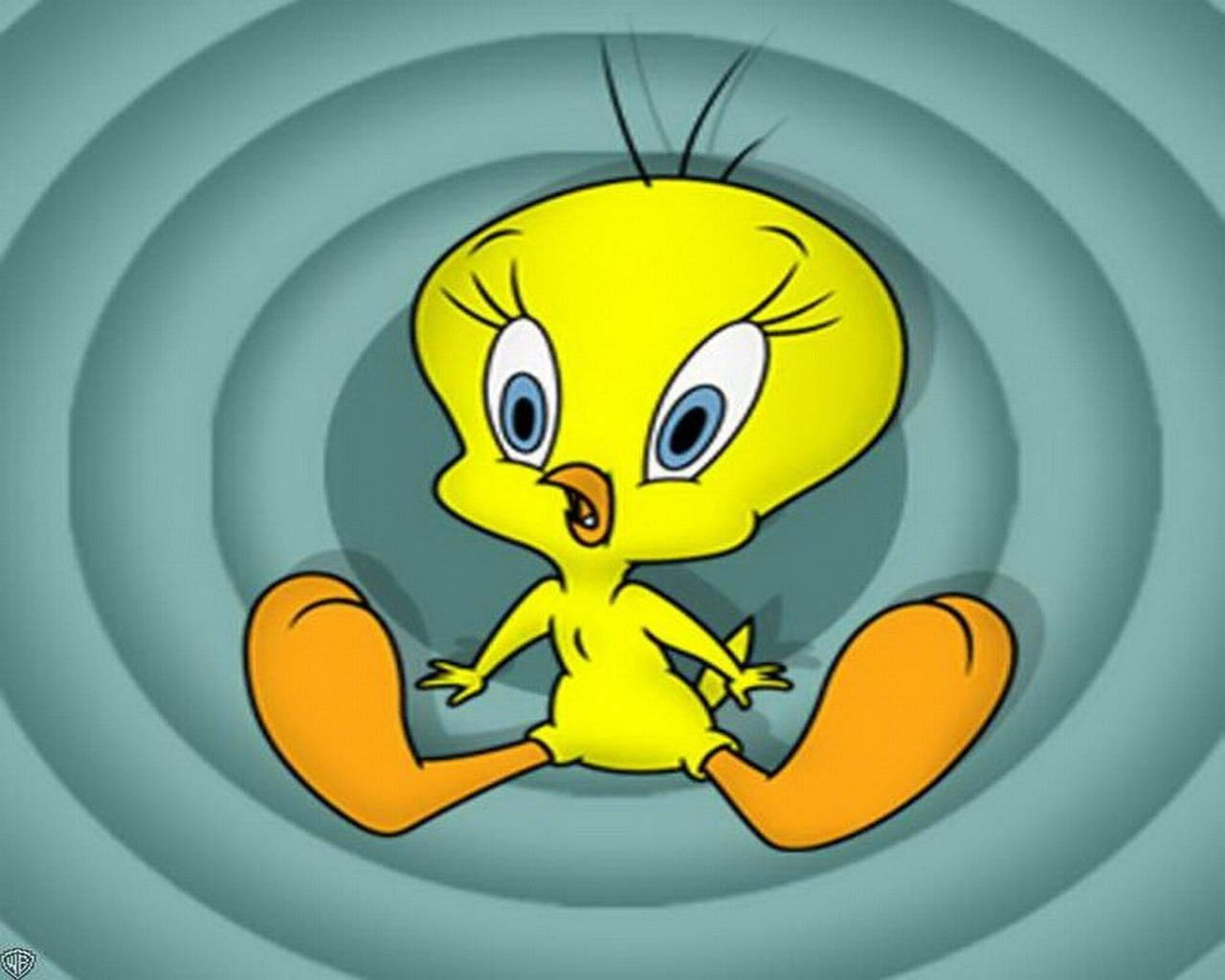 Surprised Tweety Bird Wallpaper