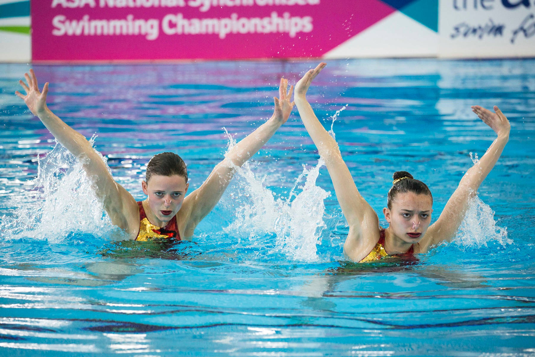 Synchronized Swimming Fierce Look Wallpaper