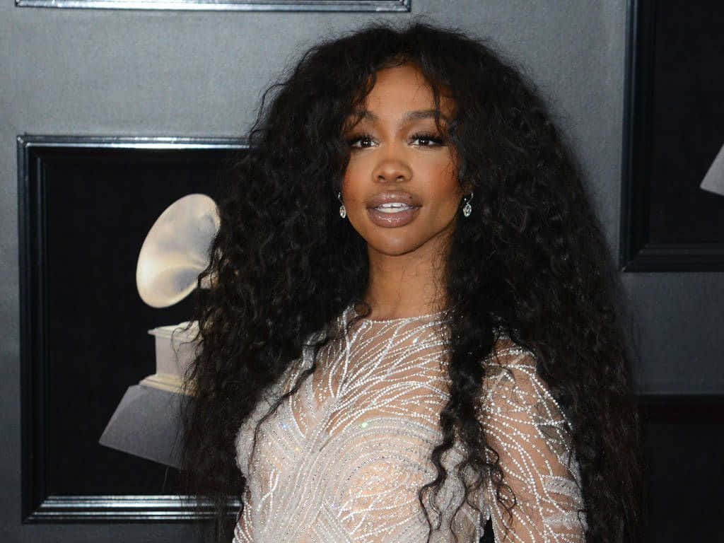 Sza In Beige Dress Wallpaper