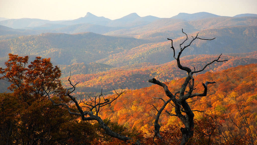 Table Rock And Hawksbill North Carolina Wallpaper