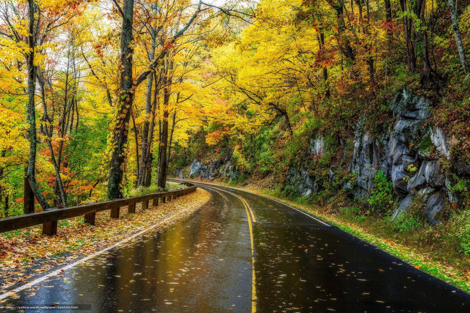 Take A Breathtaking Tour Of Great Smoky Mountains Wallpaper