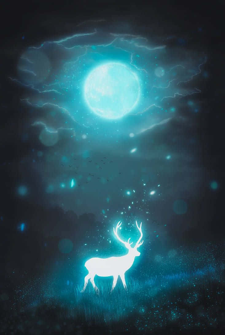 Take A Walk In The Woods And Encounter A Cool Deer Wallpaper