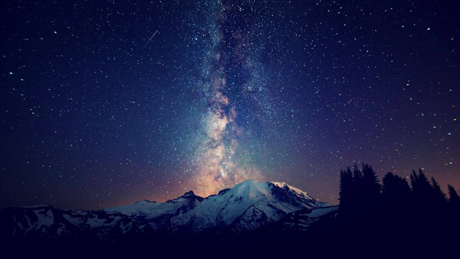 “take In The Night Sky” Wallpaper