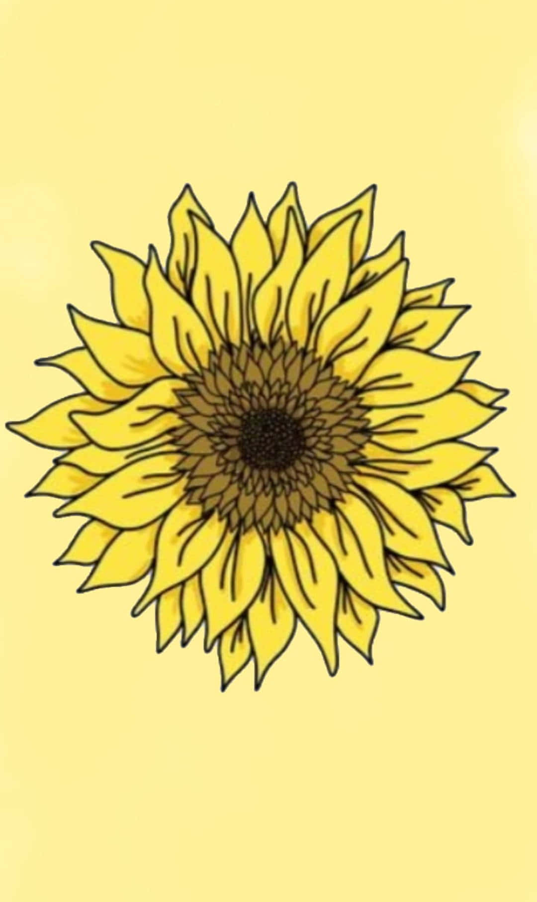 Take Time To Stop And Appreciate The Beauty Of The Sunflower. Wallpaper