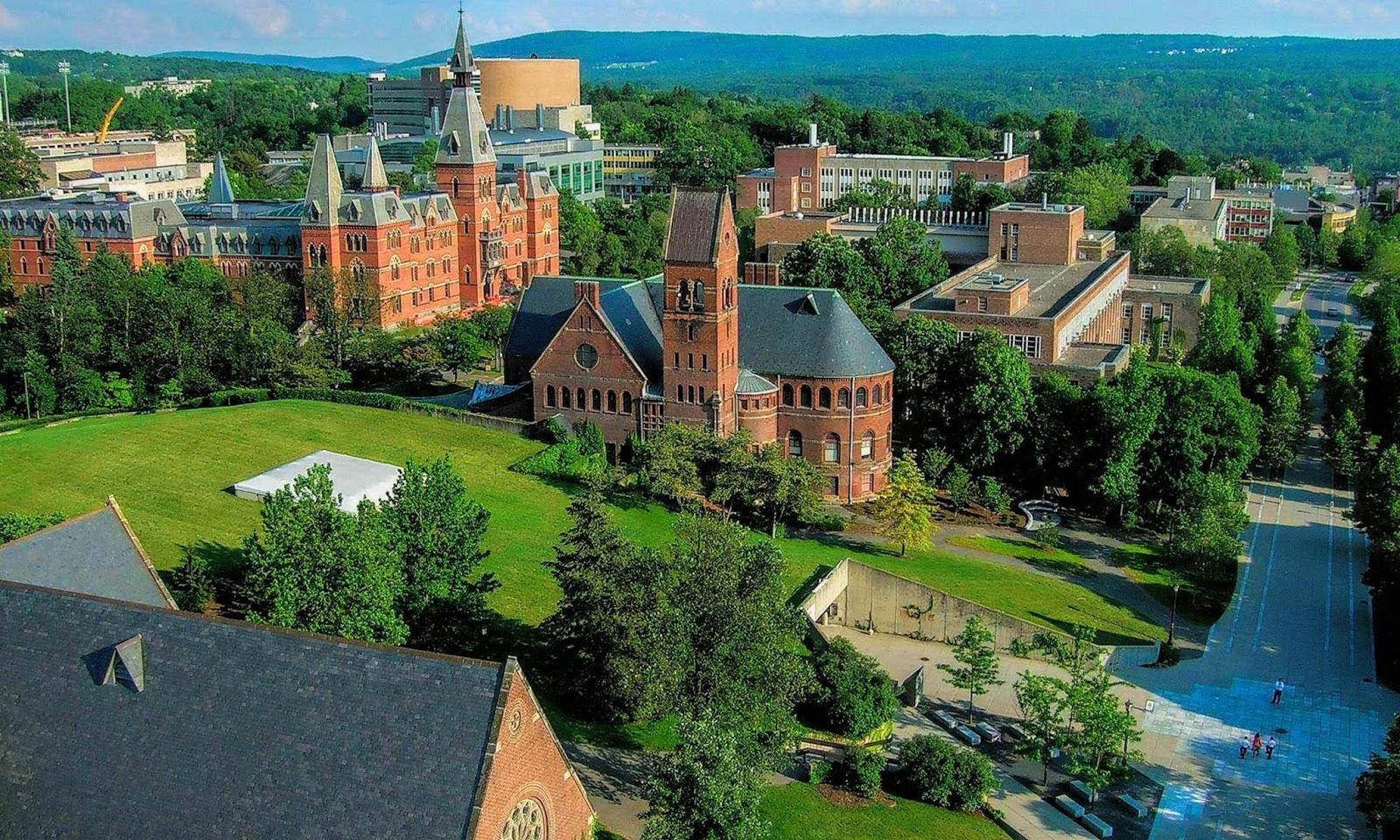 Tall Princeton University Halls Wallpaper